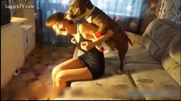 Mulher transando com cachorro na frente do marido tarado