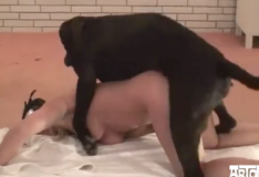 Porno cachorro loira mascarada fode com cachorro