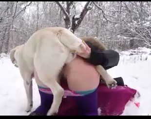 Porno zoofilia mulher e cachorro fazem sexo na neve