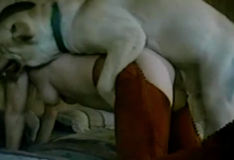 Loira branquinha faz sexo com cachorro enorme